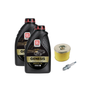 Honda GX390 Bensinmotor Servicepakke