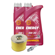 Honda GX390 Bensinmotor Servicepakke