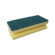 Rengjøringssvampe